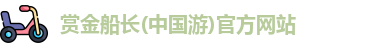 赏金船长